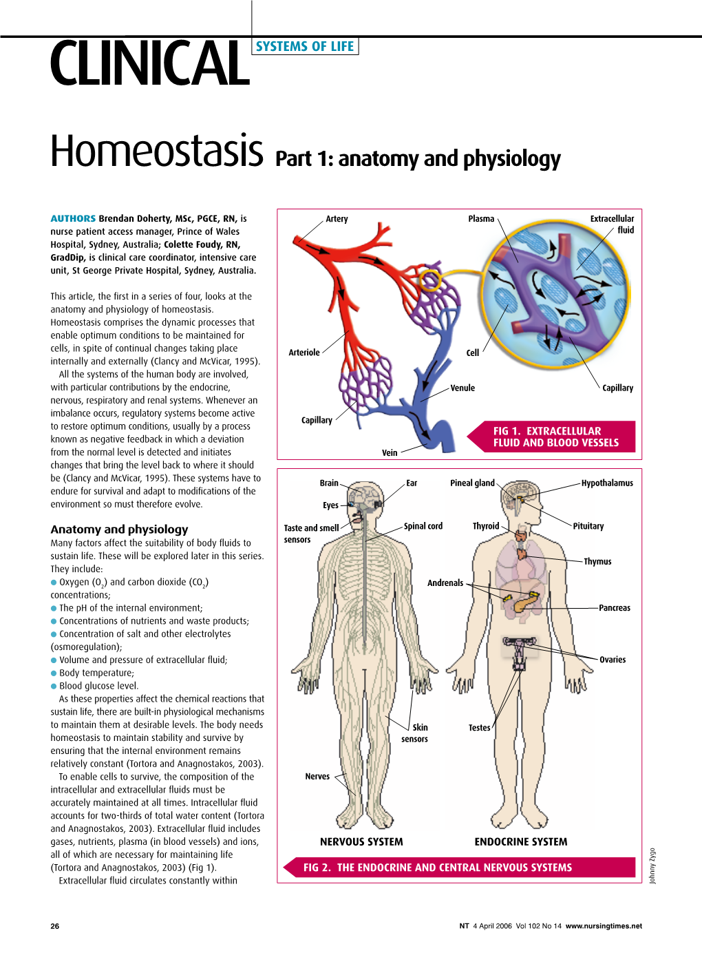 Homeostasis Part 1: Anatomy and Physiology