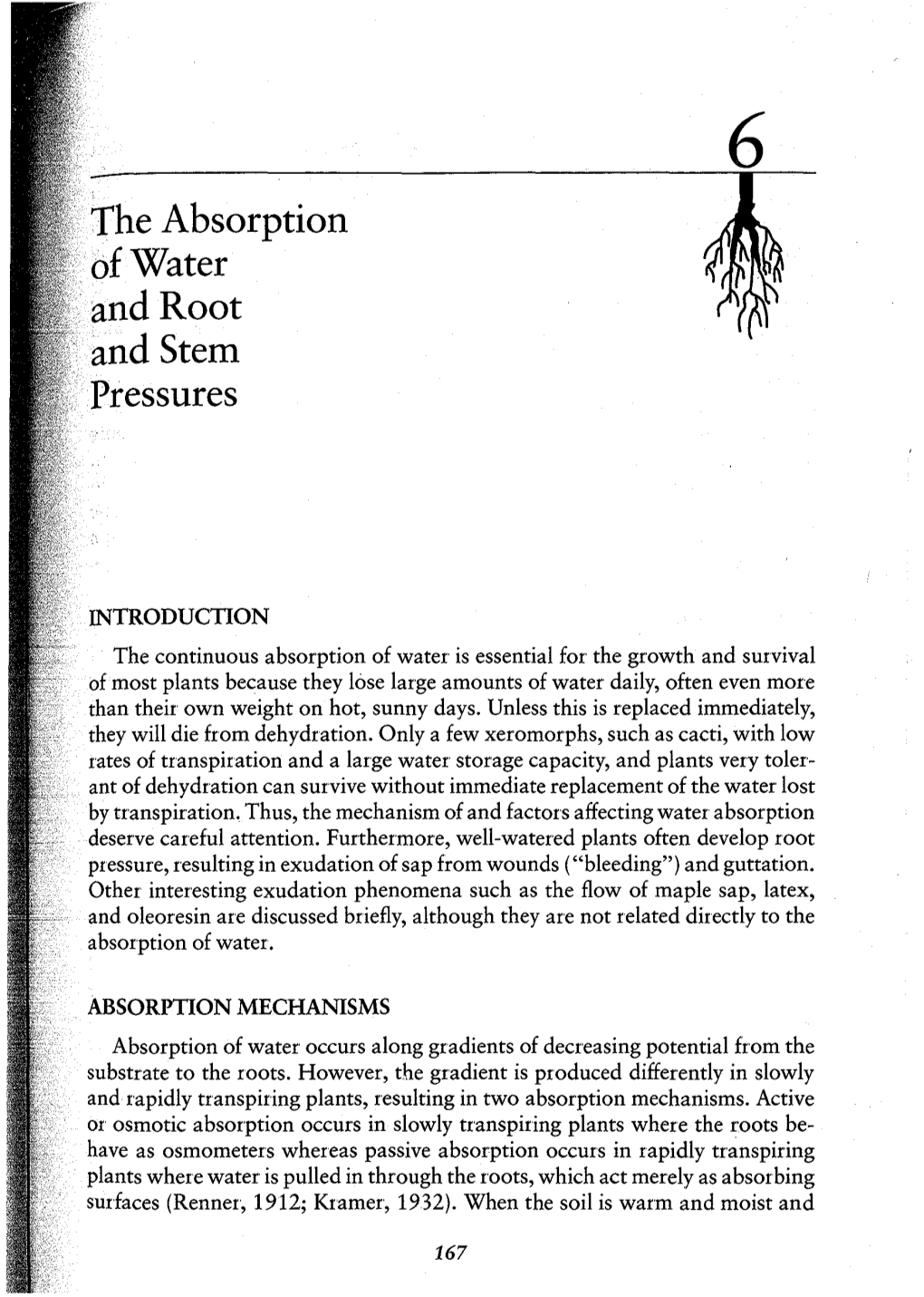 The Absorption .Afwater ·~Nd Root and Stem Pressures