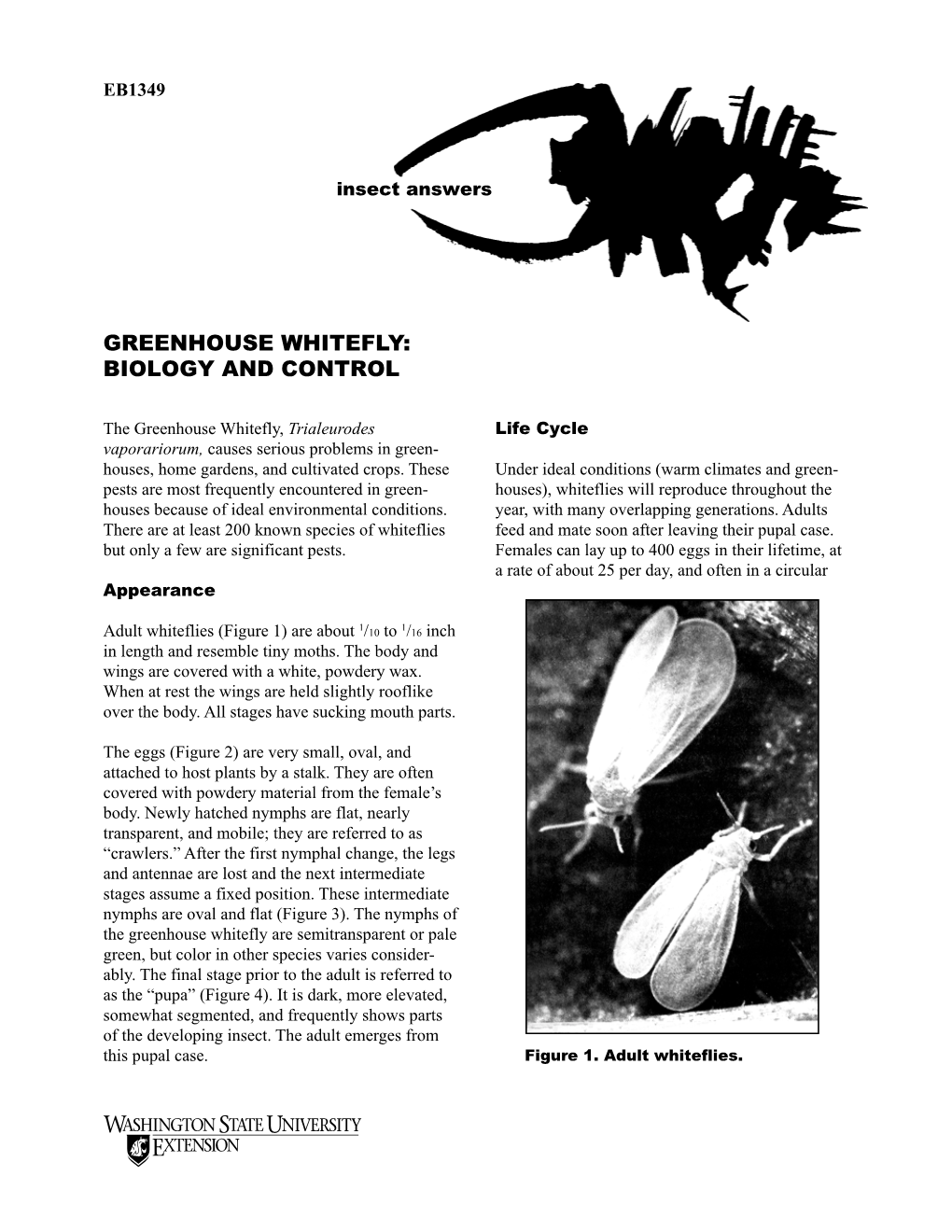 Greenhouse Whitefly: Biology and Control