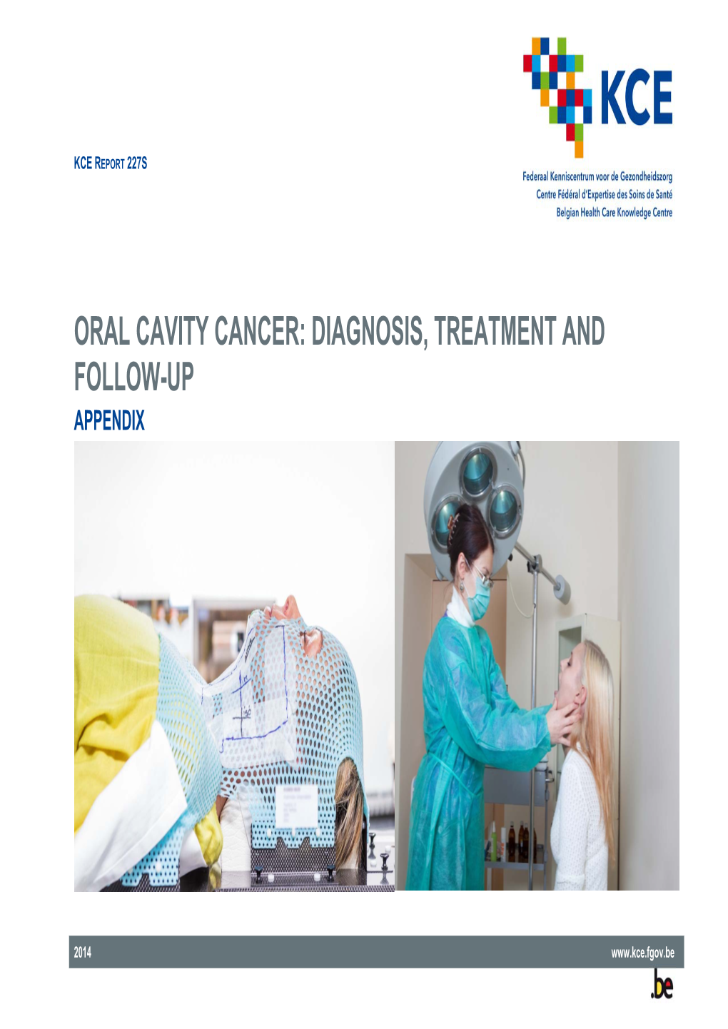 Oral Cavity Cancer: Diagnosis, Treatment and Follow-Up Appendix