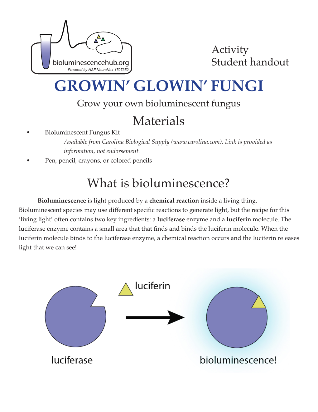 Growin' Glowin' Fungi