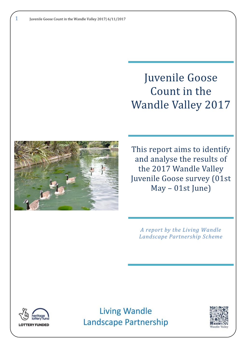 2017 Canada Geese Juvenile Count