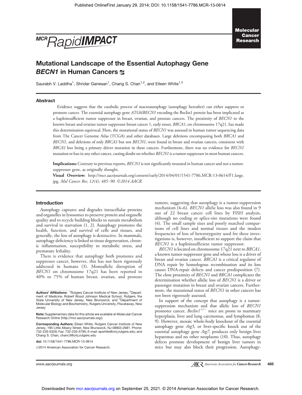 Mutational Landscape of the Essential Autophagy Gene BECN1 in Human Cancers