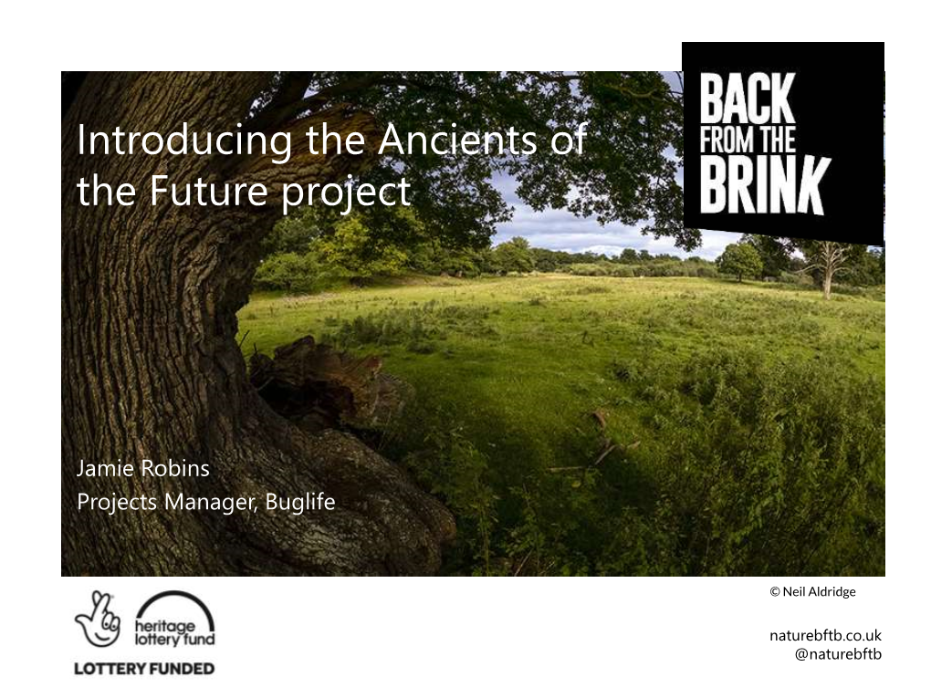 Introducing the Ancients of the Future Project