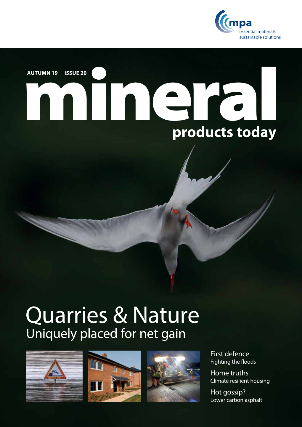 Mineralautumn 19 ISSUE 20 Products Today