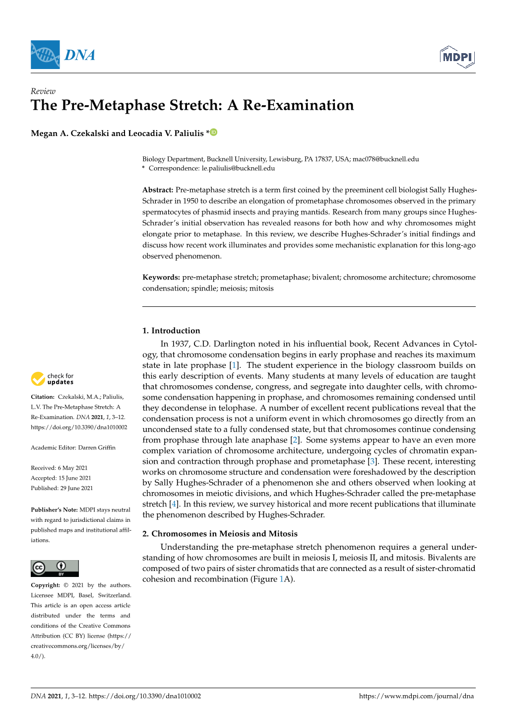 The Pre-Metaphase Stretch: a Re-Examination