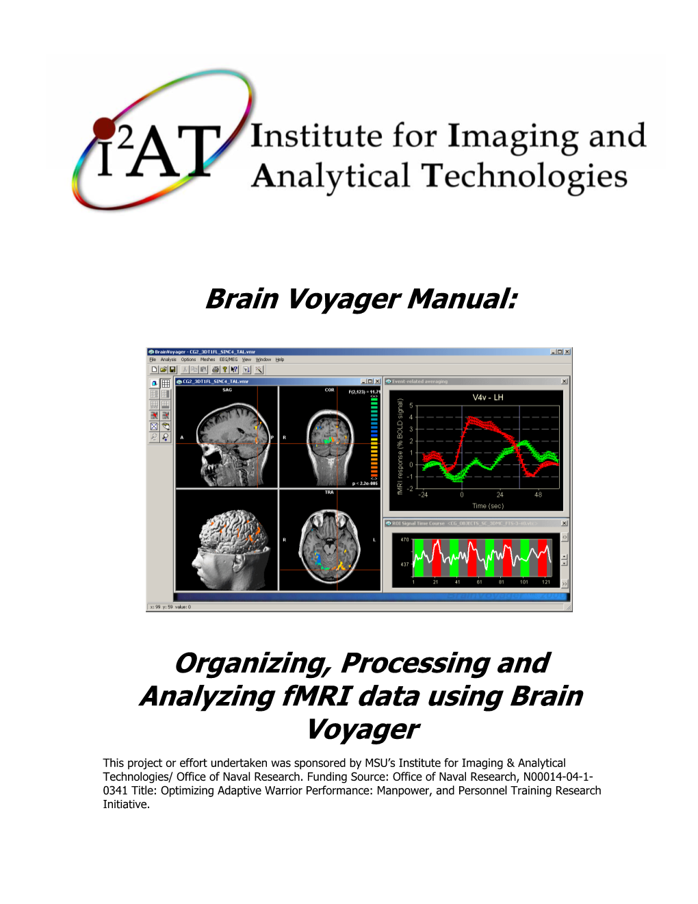 Brain Voyager Manual