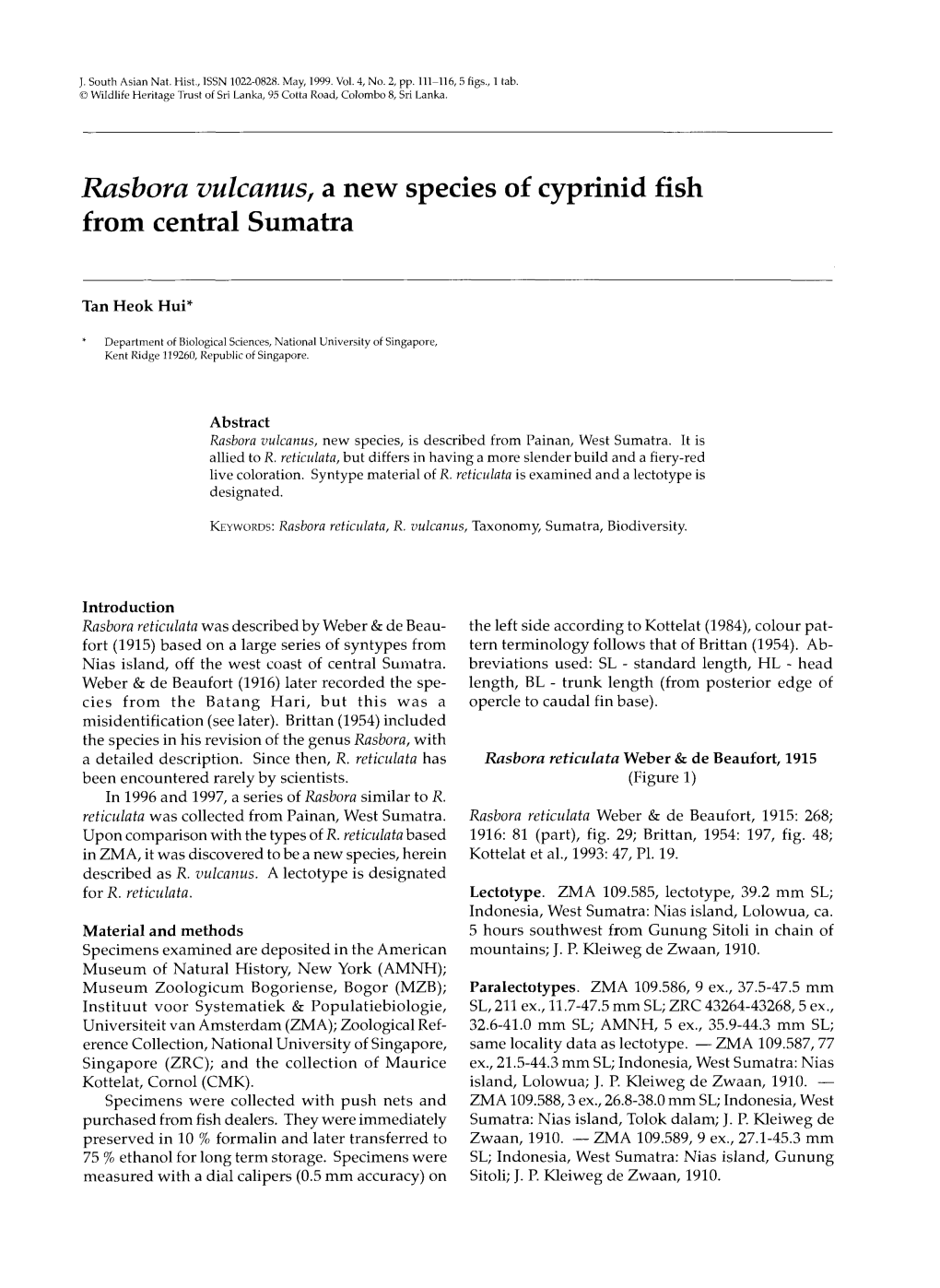 Rasbora Vulcanus, a New Species of Cyprinid Fish from Central Sumatra