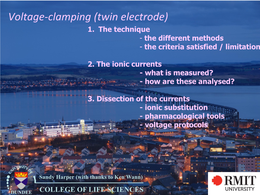 Voltage-Clamping (Twin Electrode) 1