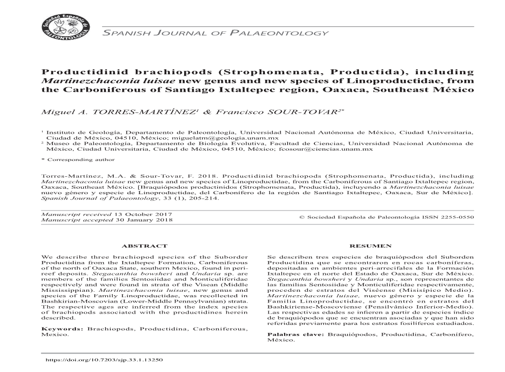 (Strophomenata, Productida), Including Martinezchaconia Luisae