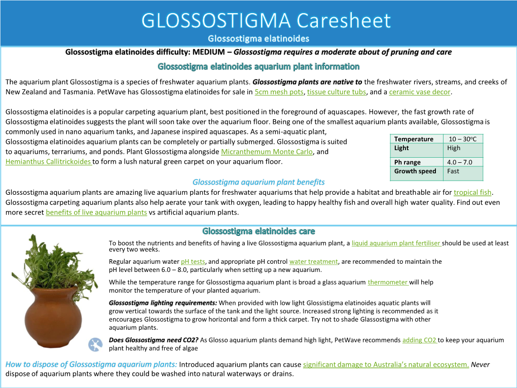 Glossostigma Aquarium Plant Care Sheet