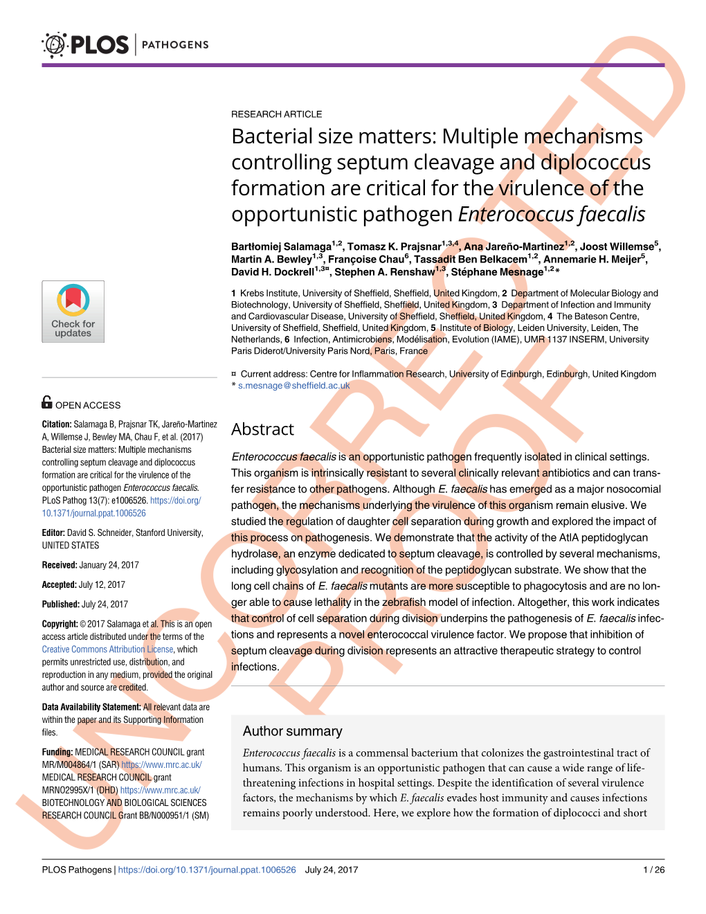 Bacterial Size Matters: Multiple Mechanisms Controlling Septum