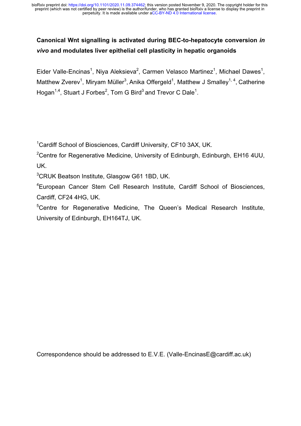 Canonical Wnt Signalling Is Activated During BEC-To-Hepatocyte Conversion in Vivo and Modulates Liver Epithelial Cell Plasticity in Hepatic Organoids