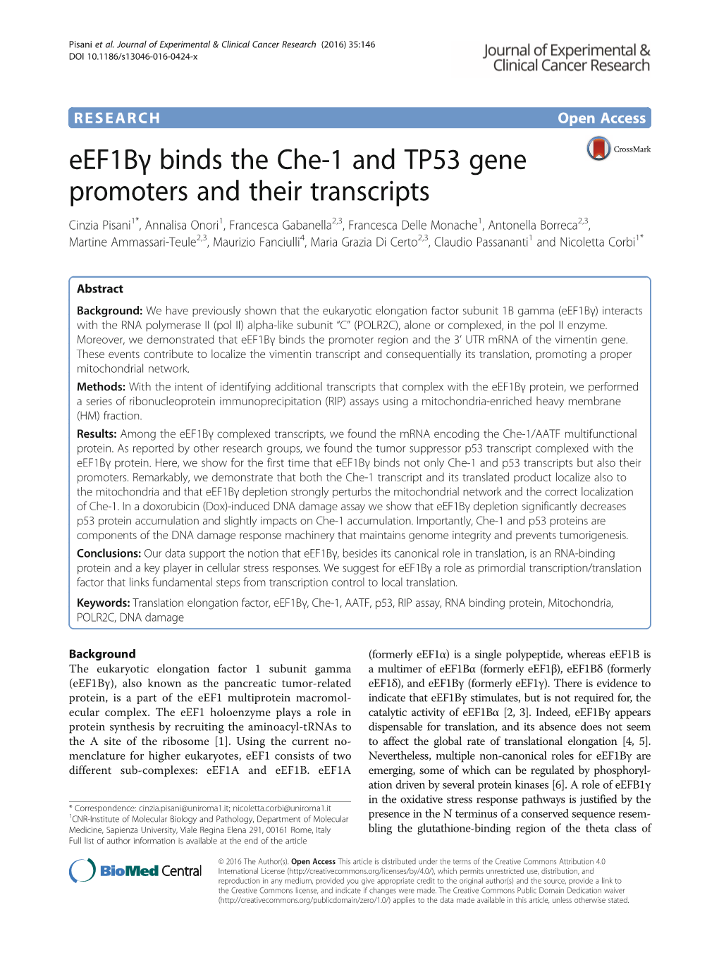 Eef1bγ Binds the Che-1 and TP53 Gene Promoters and Their Transcripts