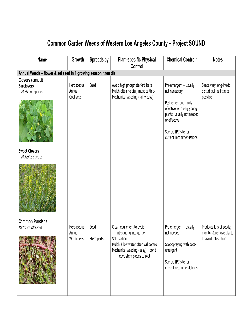 Common Garden Weeds of Western Los Angeles County – Project SOUND