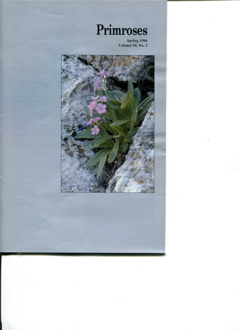 Primroses Spring 1996 Volume 54, No