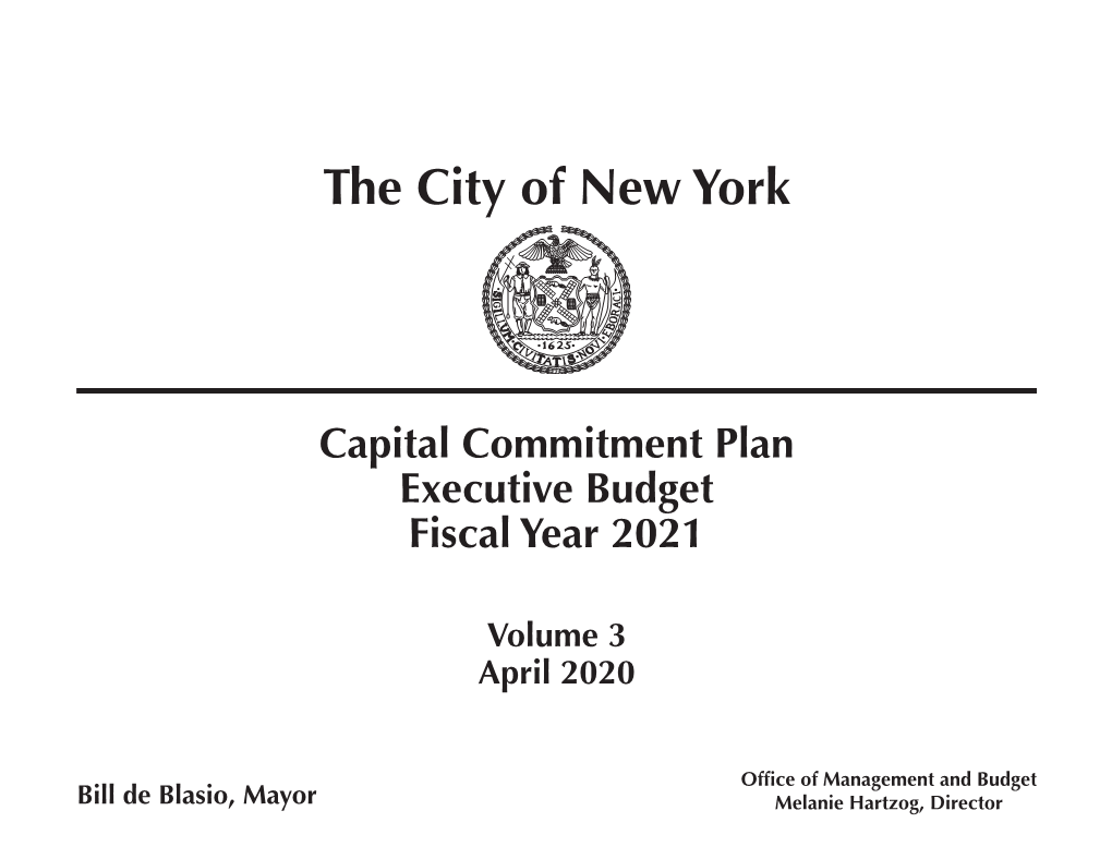 FY 2021 Executive Budget Commitment Plan