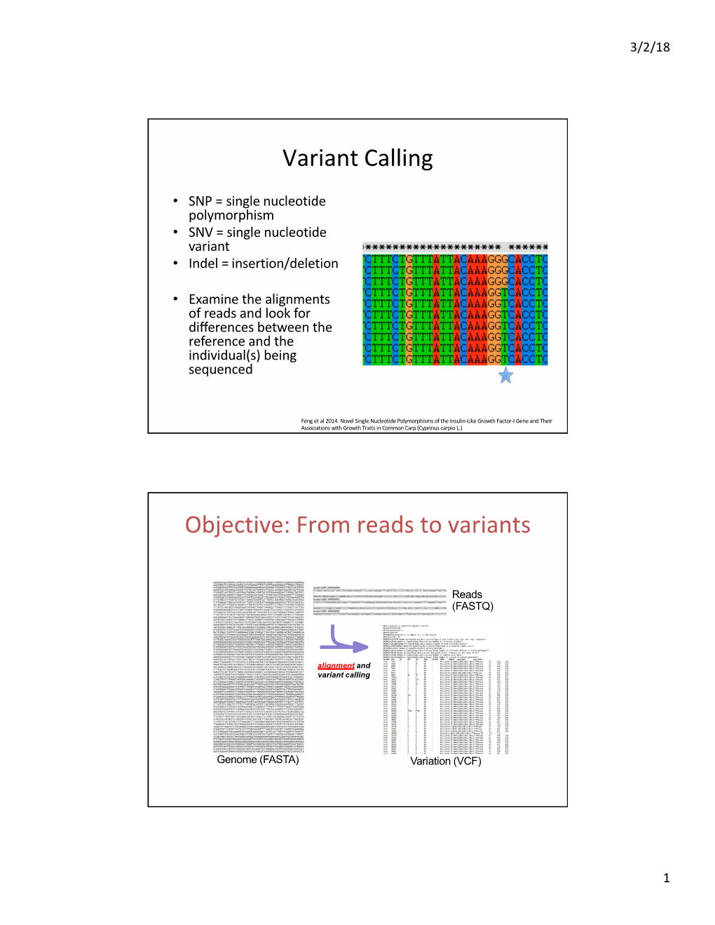 Variant Calling Objective: from Reads to Variants