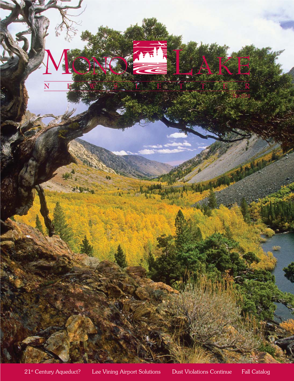 2010 Fall Mono Lake Newsletter