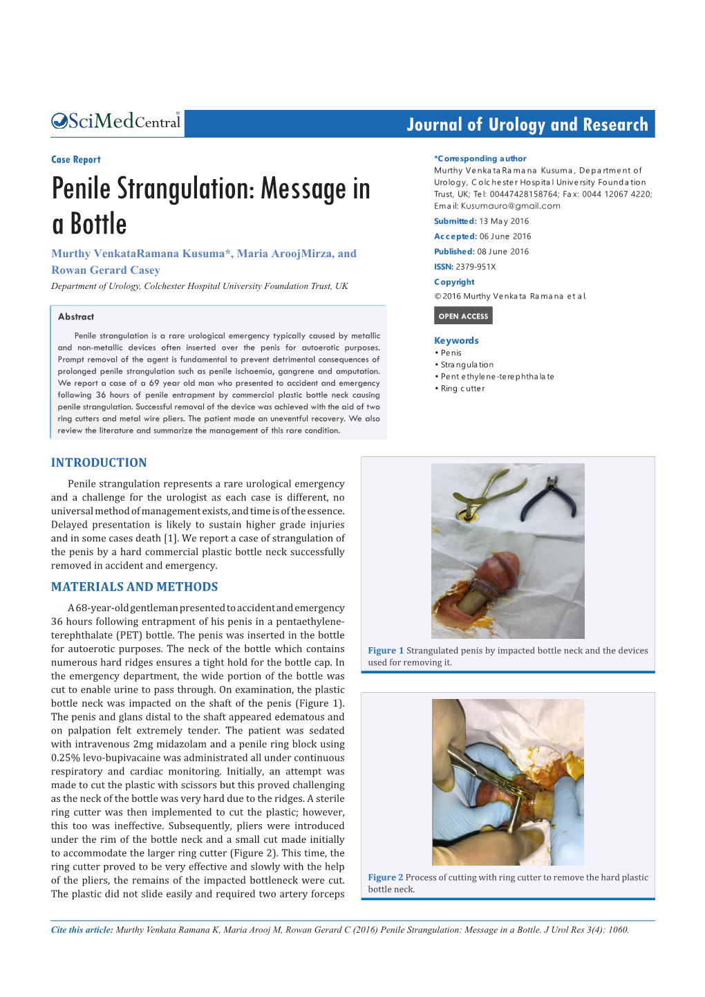 Penile Strangulation