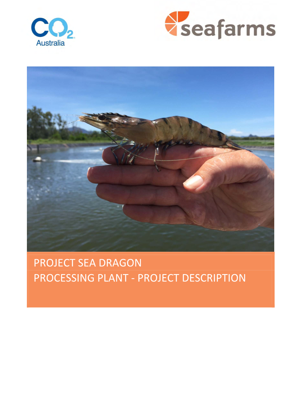 Project Sea Dragon Processing Plant ‐ Project Description