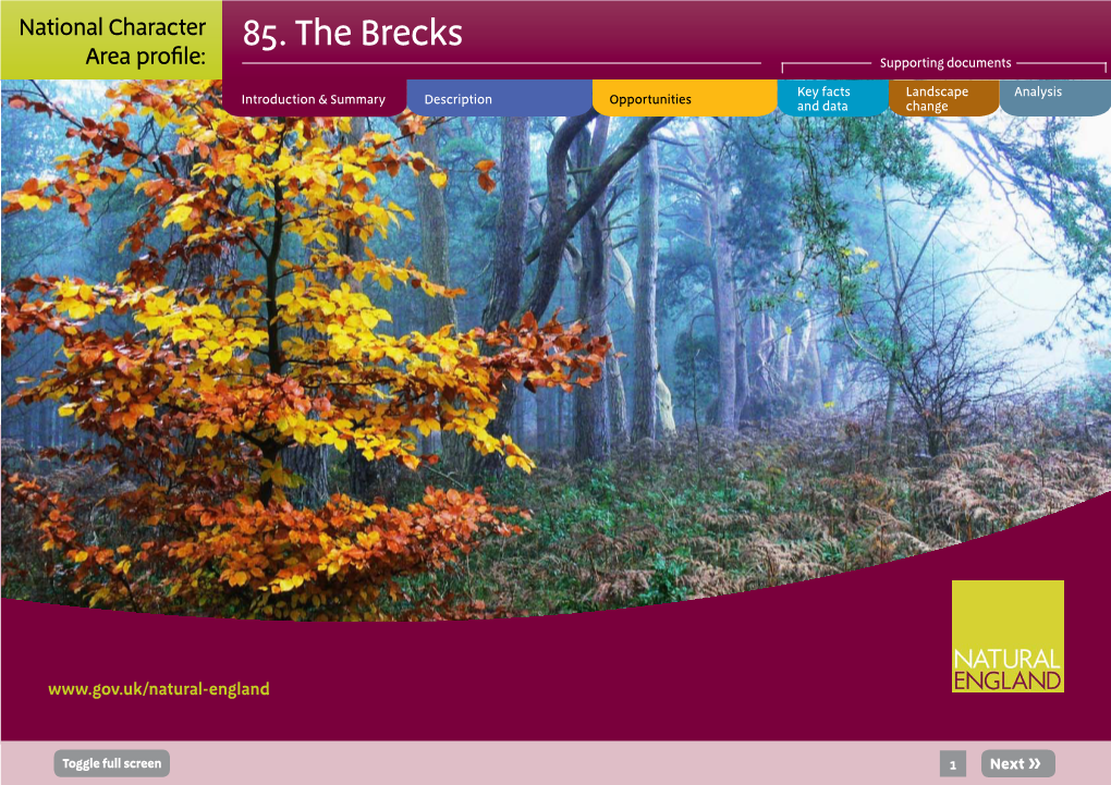 85. the Brecks Area Profile: Supporting Documents