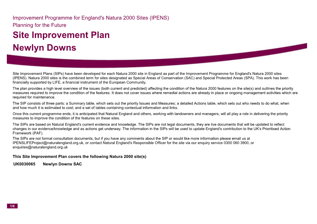 Site Improvement Plan Newlyn Downs
