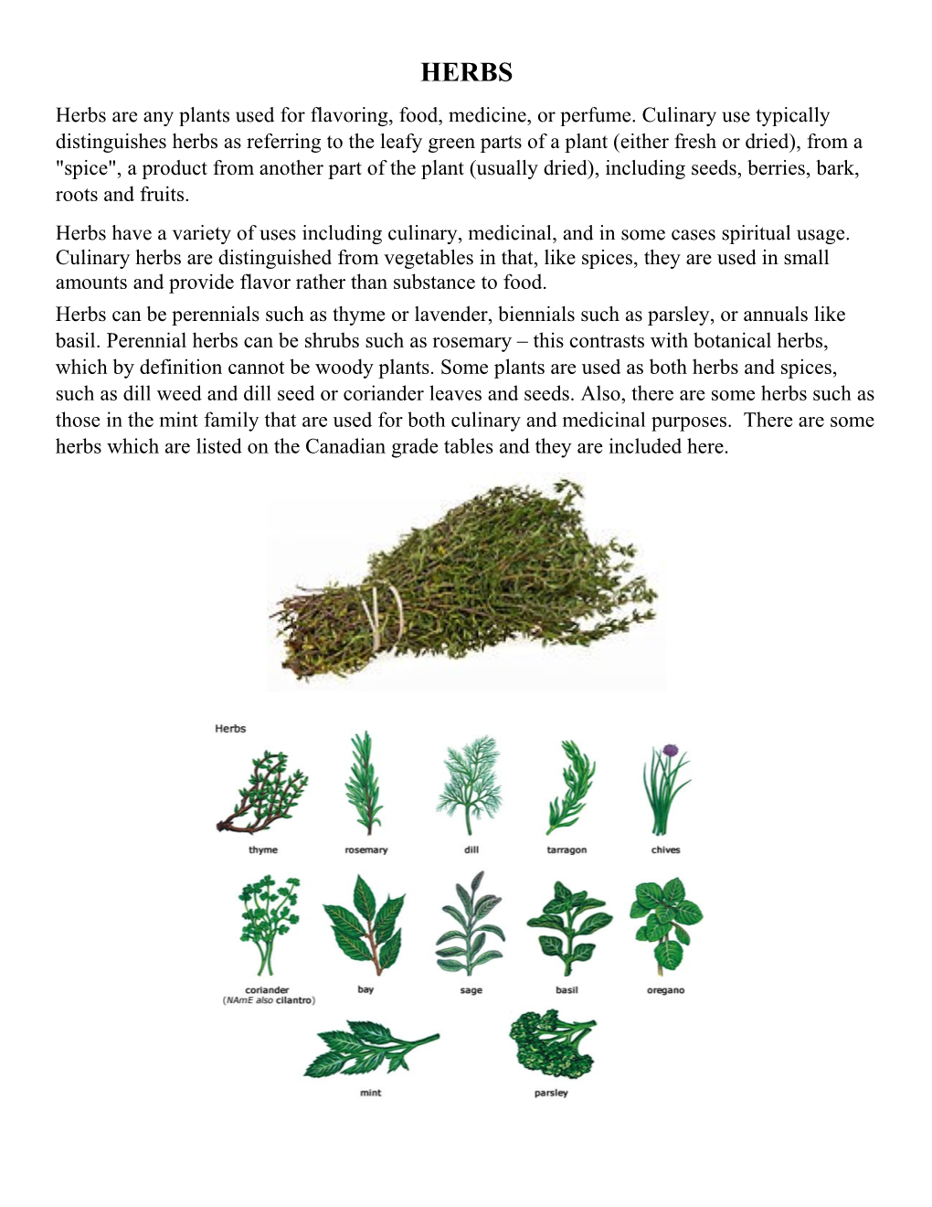 Herbs Are Any Plants Used for Flavoring, Food, Medicine, Or Perfume