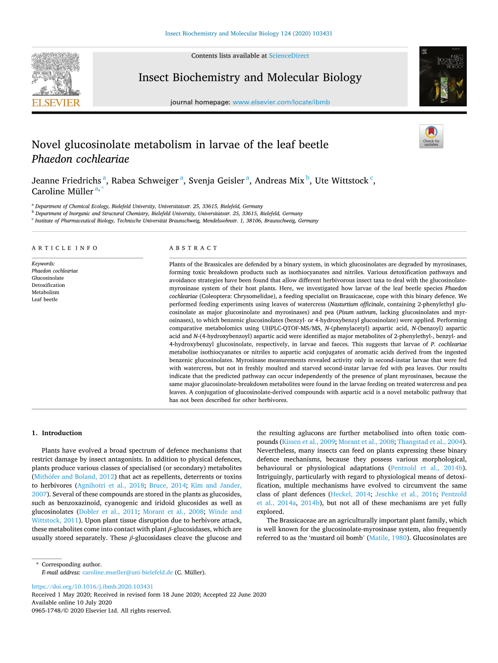 Novel Glucosinolate Metabolism in Larvae of the Leaf Beetle Phaedon Cochleariae