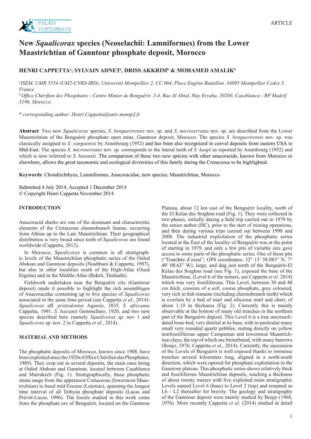 New Squalicorax Species (Neoselachii: Lamniformes) from the Lower Maastrichtian of Ganntour Phosphate Deposit, Morocco