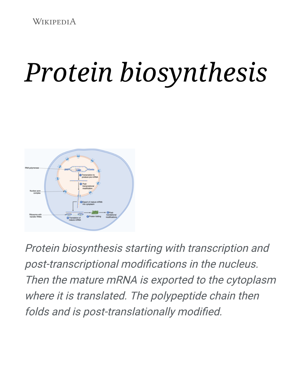 Protein Biosynthesis