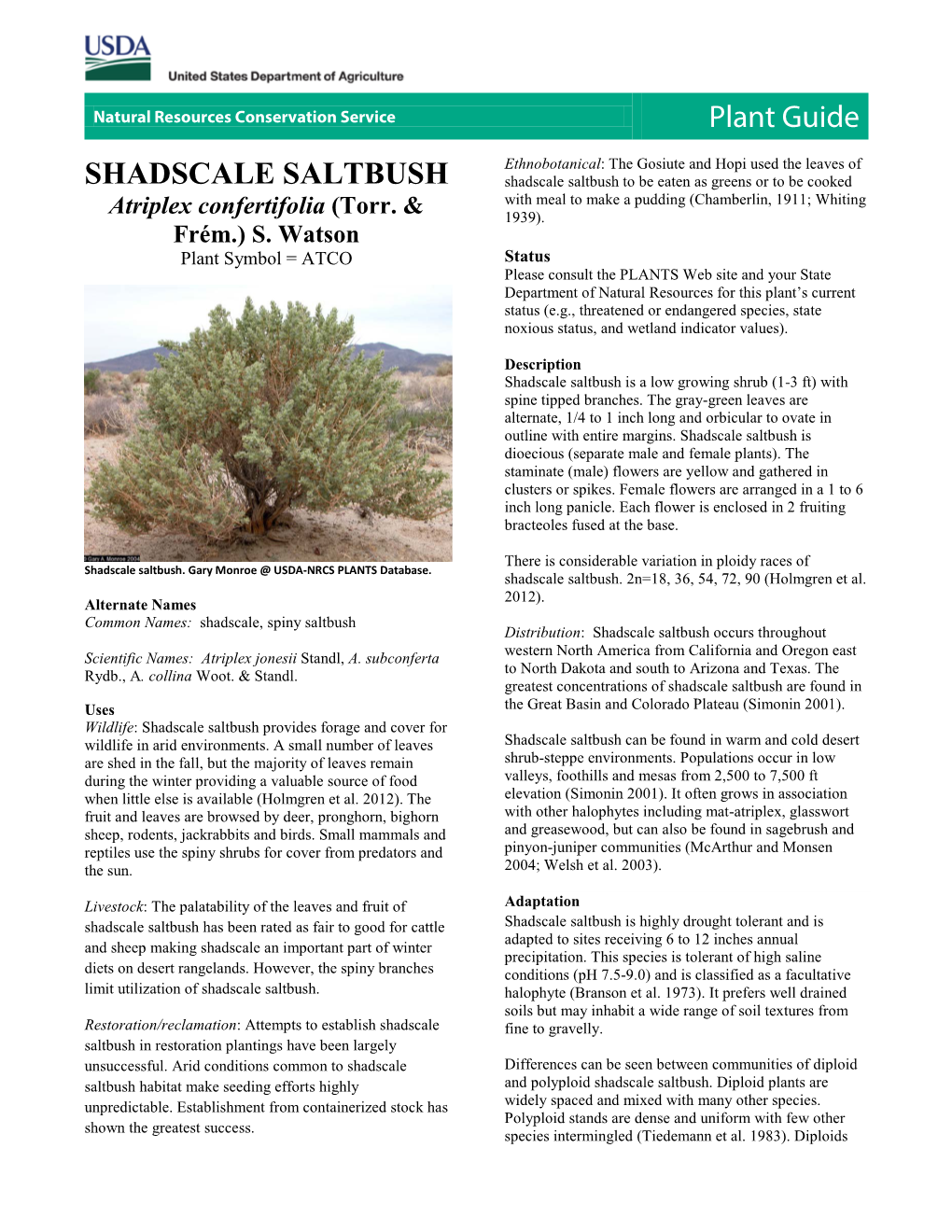 Plant Guide for Shadscale Saltbush (Atriplex Confertifolia)