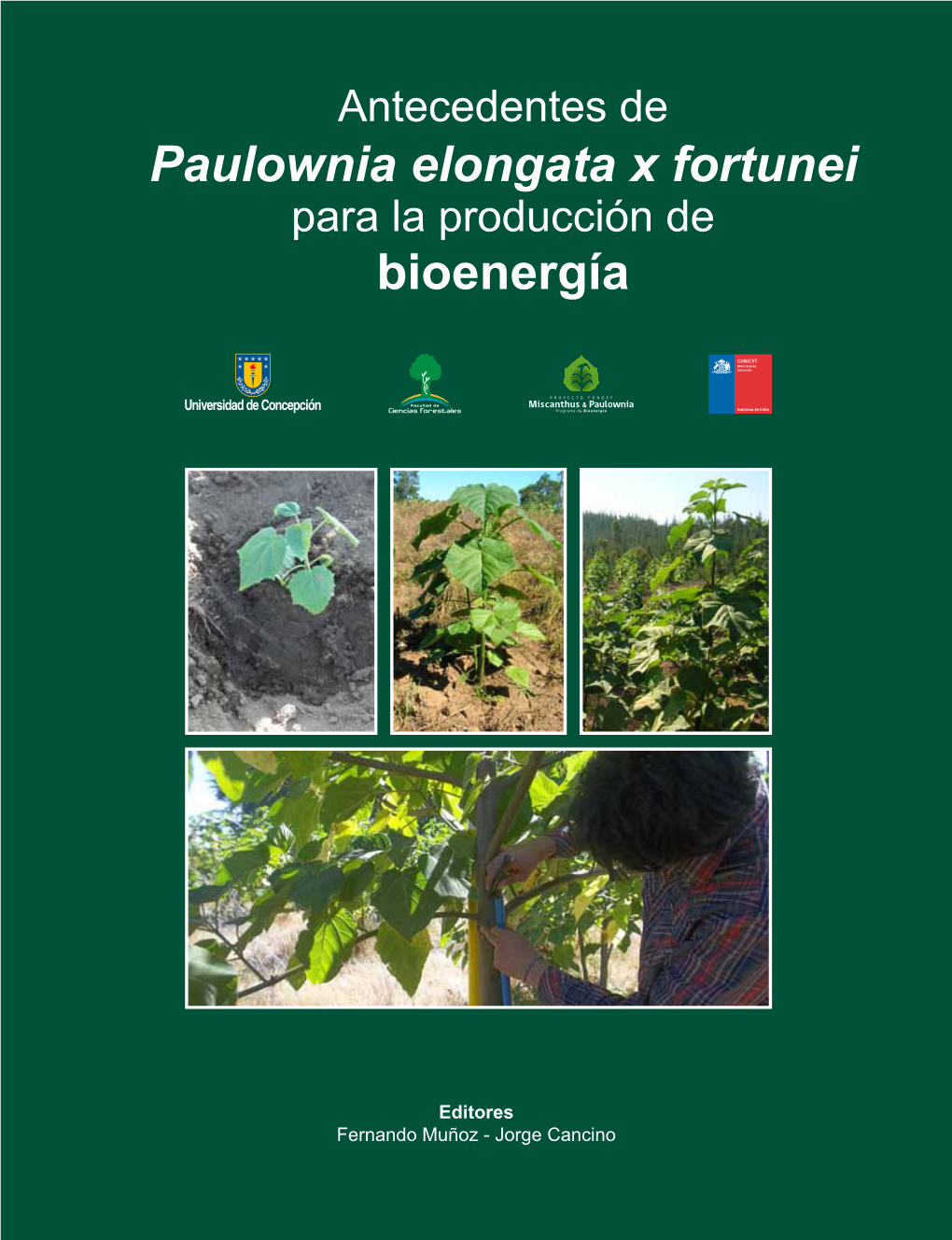 Paulownia Elongata X Fortunei Bioenergía