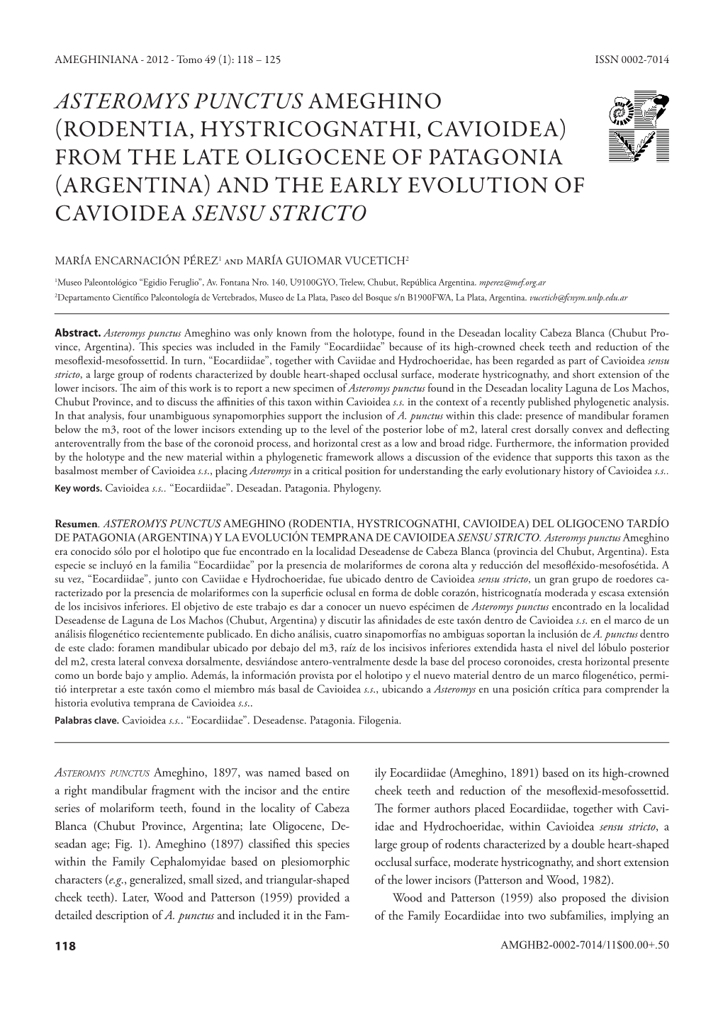 Asteromys Punctus Ameghino (Rodentia, Hystricognathi, Cavioidea) from the Late Oligocene of Patagonia (Argentina) and the Early Evolution of Cavioidea Sensu Stricto