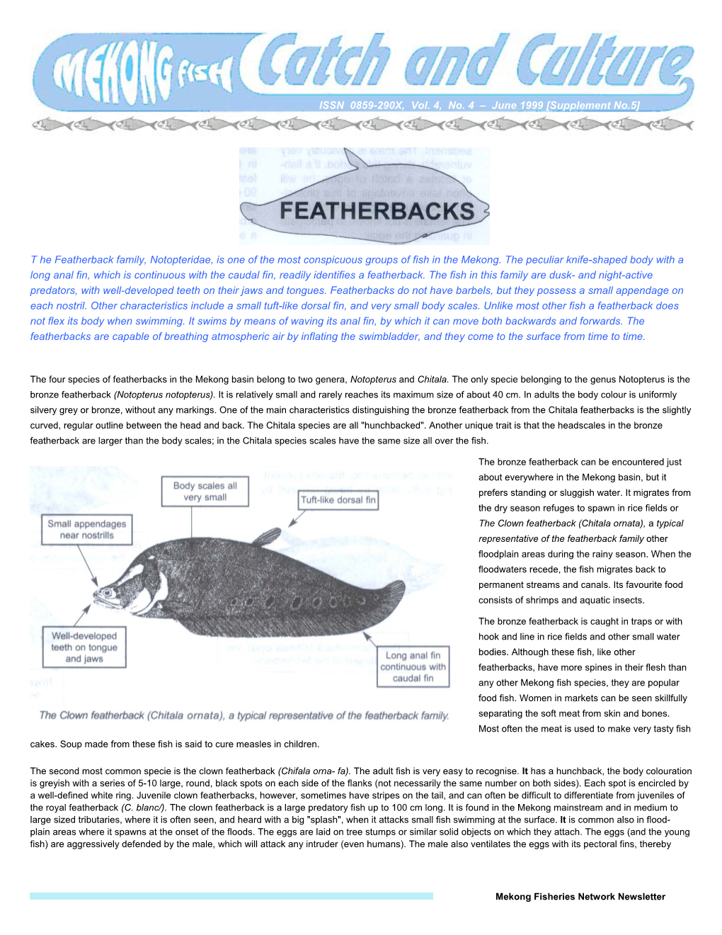 T He Featherback Family, Notopteridae, Is One of the Most Conspicuous Groups of Fish in the Mekong. the Peculiar Knife-Shaped B