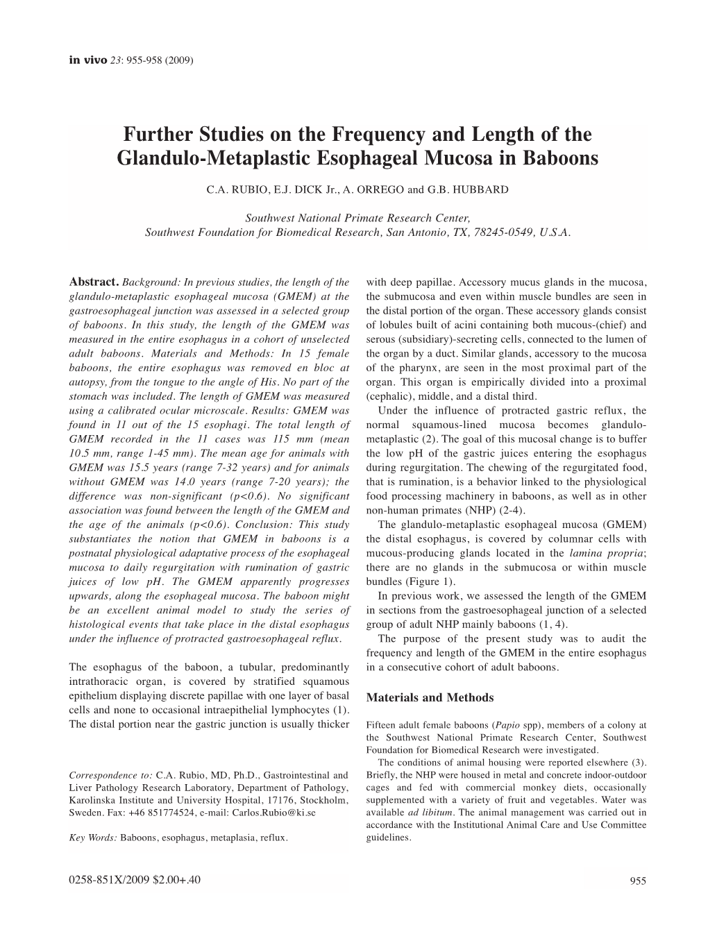 Further Studies on the Frequency and Length of the Glandulo-Metaplastic Esophageal Mucosa in Baboons