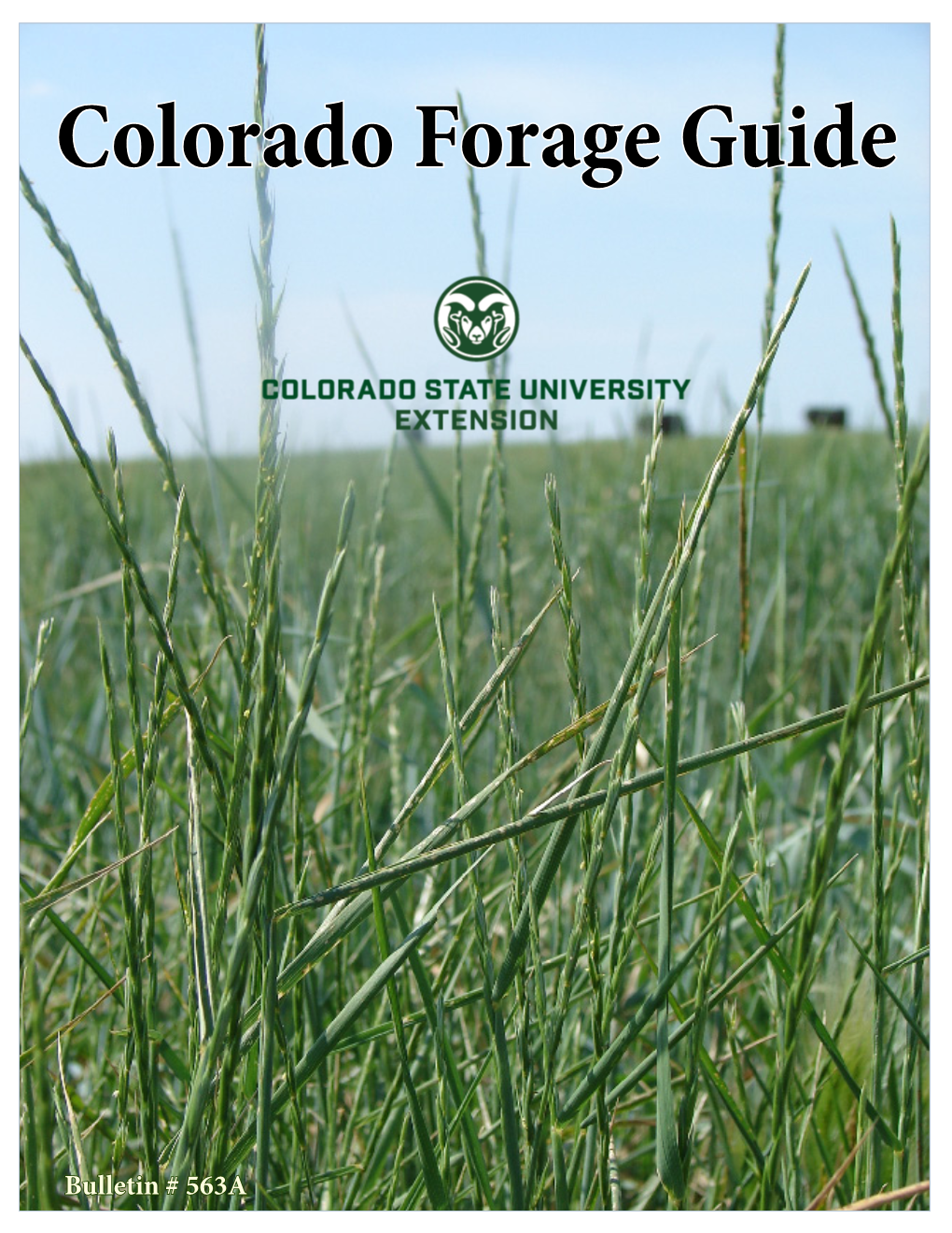 Colorado Forage Guide