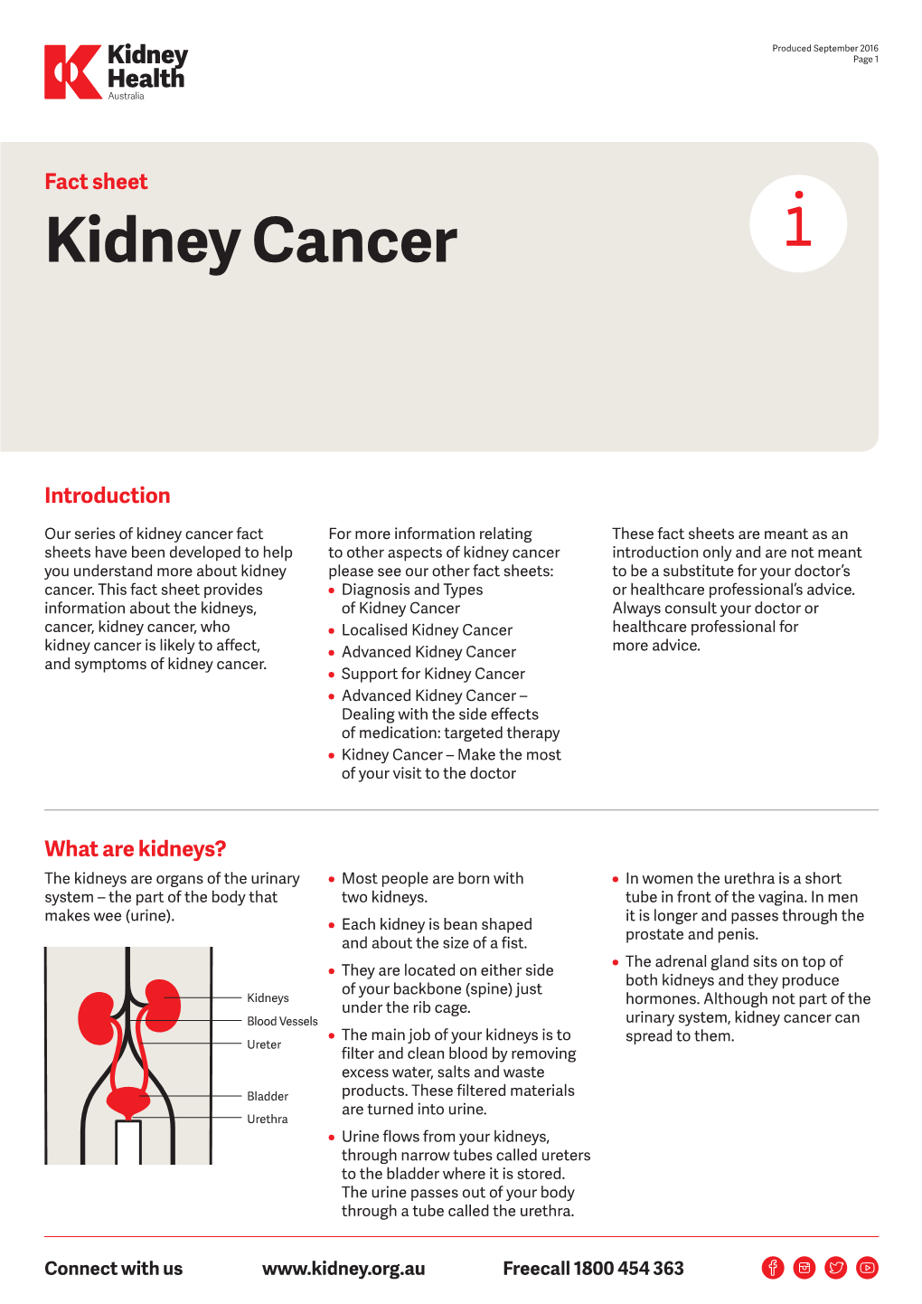 Kidney Cancer Fact Sheet PDF, 0.16Mb