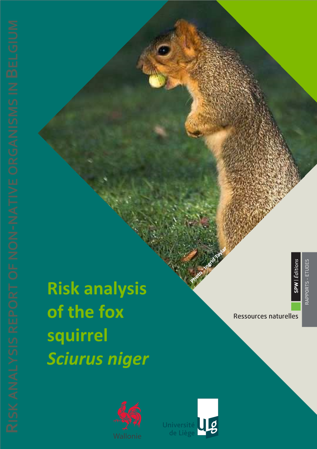 Risk Analysis of the Fox Squirrel Sciurus Niger