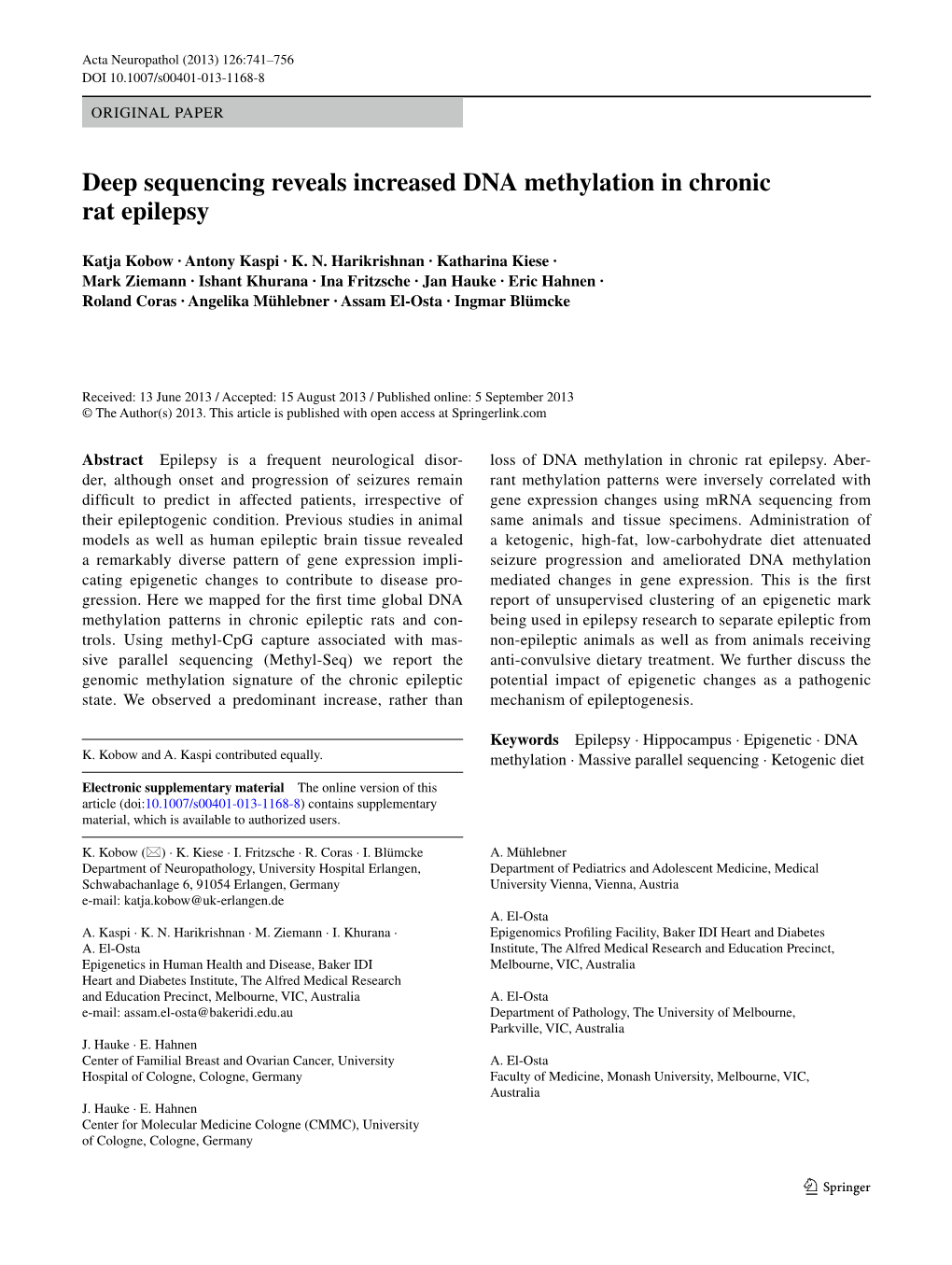 Deep Sequencing Reveals Increased DNA Methylation in Chronic Rat Epilepsy