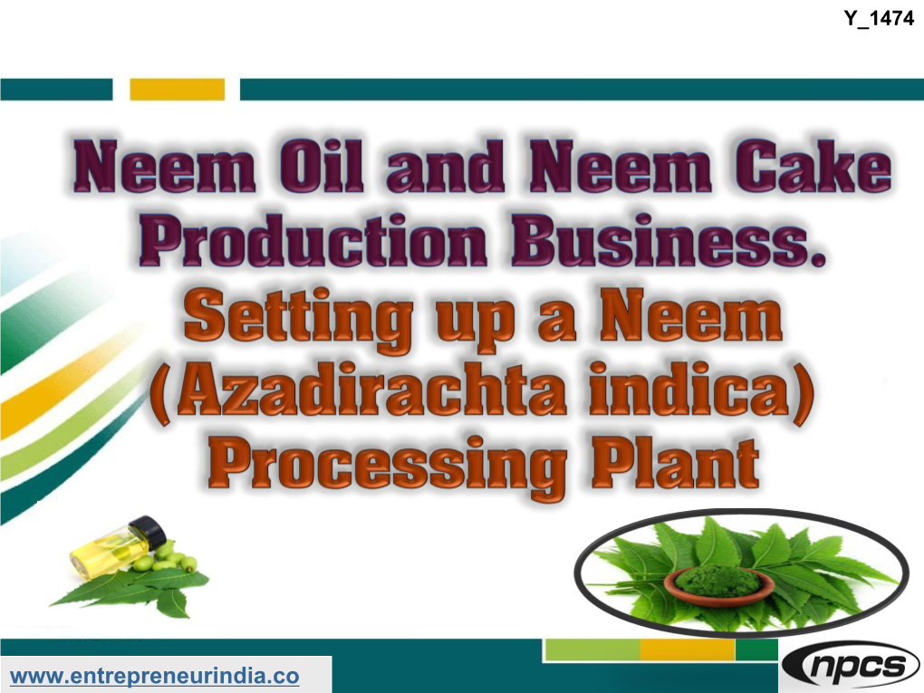 Neem Oil and Neem Cake Production Business