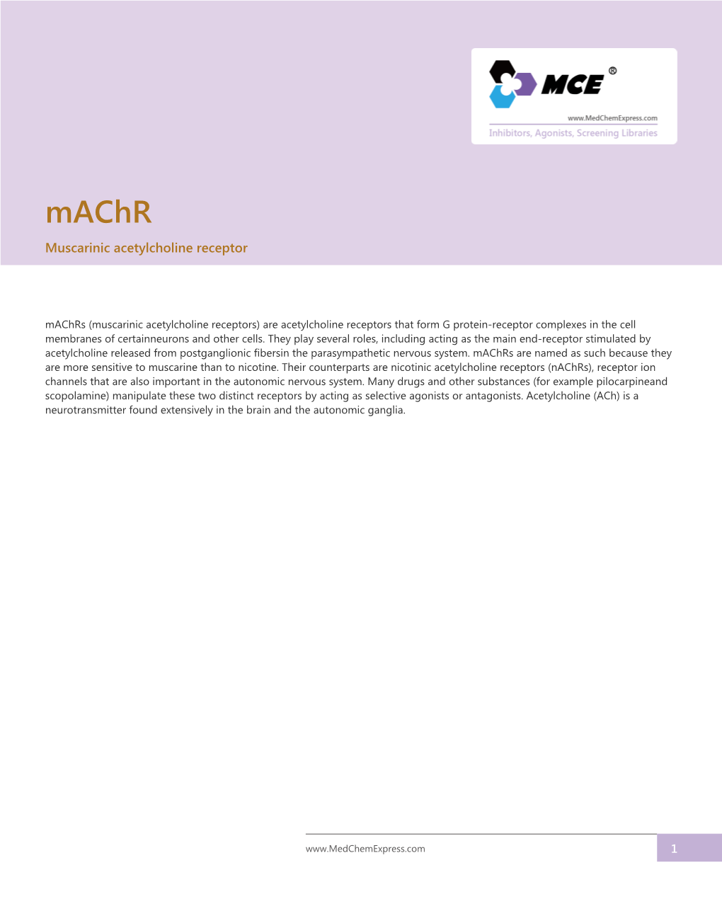 Muscarinic Acetylcholine Receptor