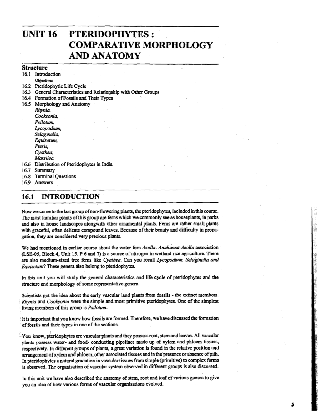 Unit 16 Pteridophytes : Comparative Morphology and Anatomy