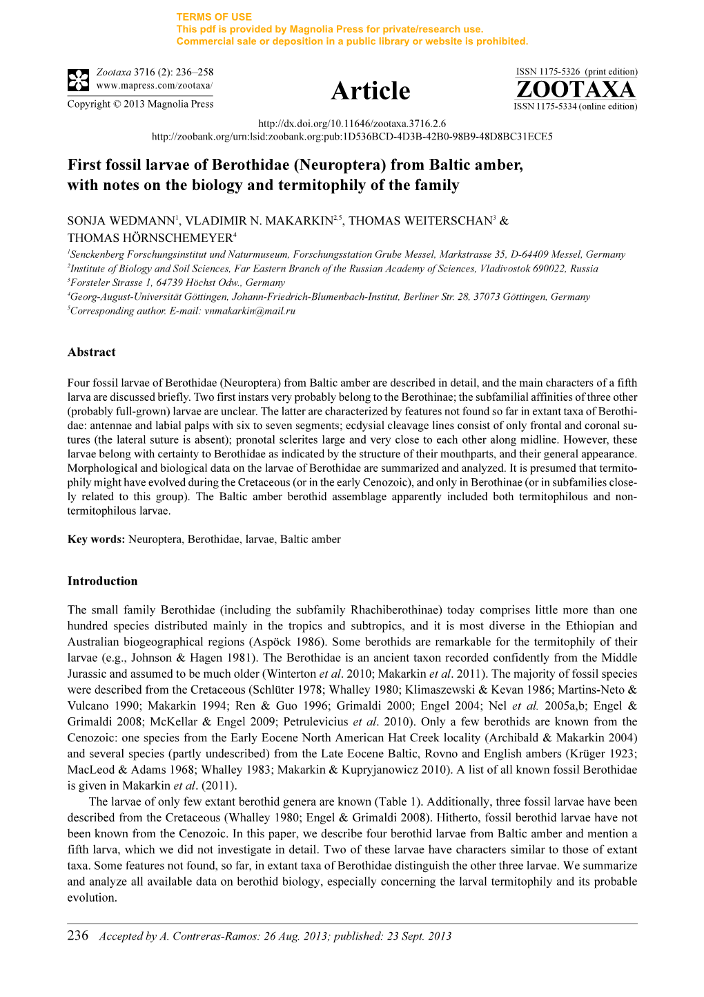 First Fossil Larvae of Berothidae (Neuroptera) from Baltic Amber,With