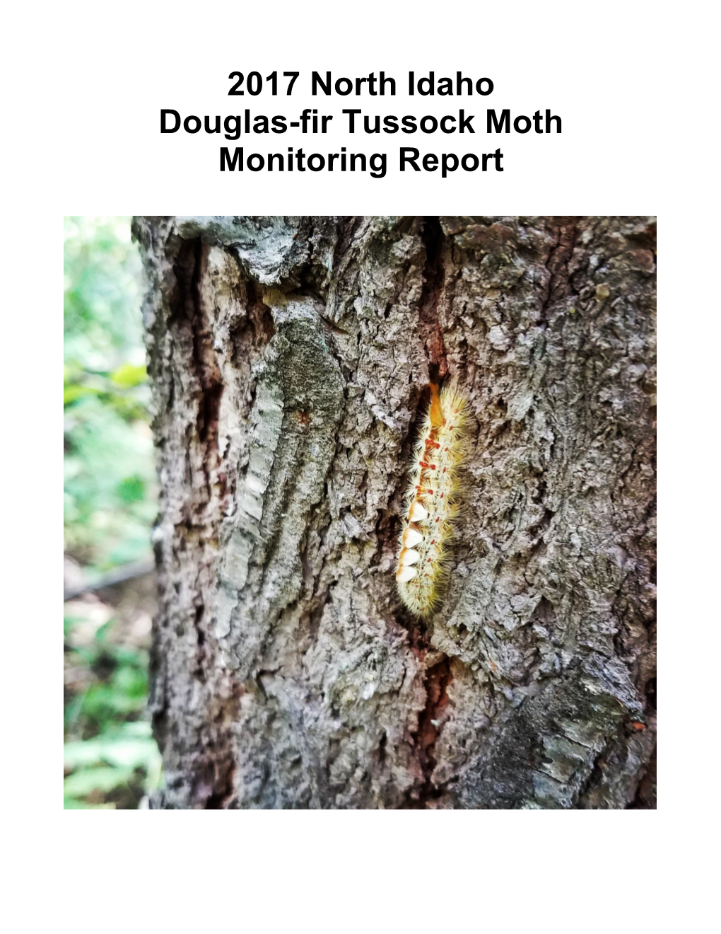2017 North Idaho Douglas-Fir Tussock Moth Monitoring Report
