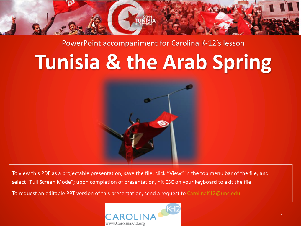 Tunisia & the Arab Spring
