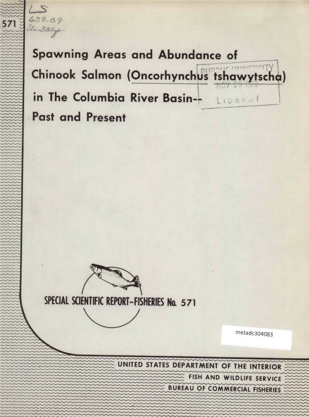 Chinook Salmon (Oncorhynchus Tshawytschi)