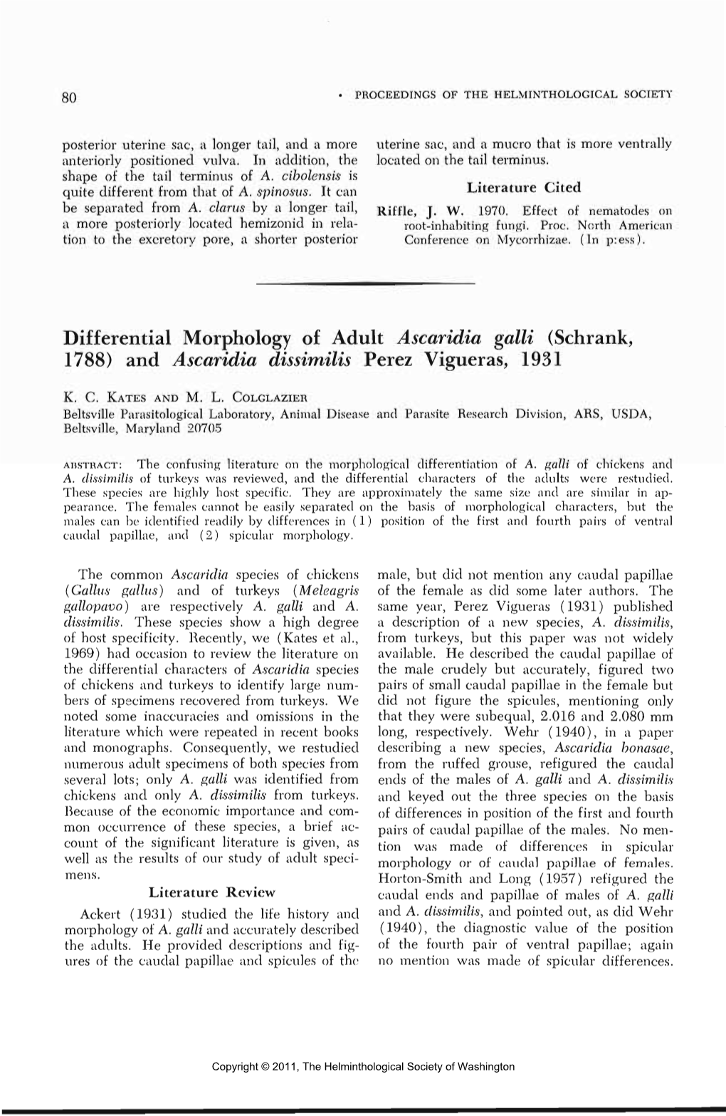Differential Morphology of Adult Ascaridia Galli (Schrank, 1788) and Ascaridia Dissimilis Perez Vigueras, 1931