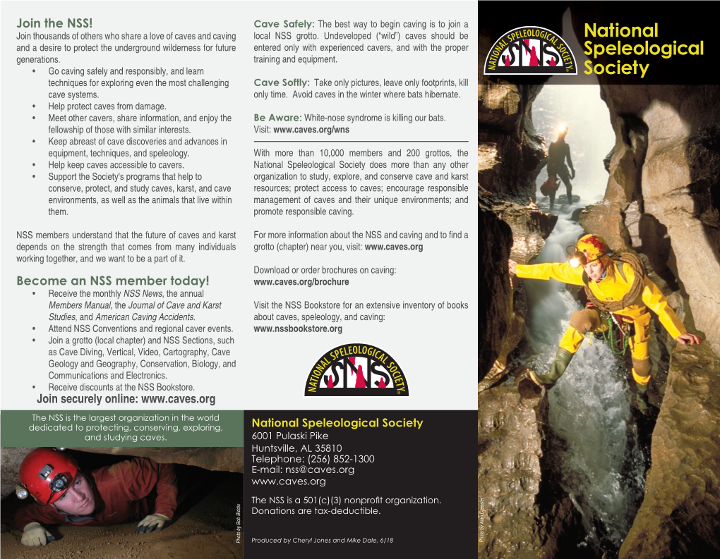 NSS Information Brochure