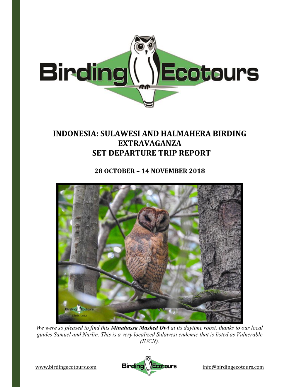 Indonesia: Sulawesi and Halmahera Birding Extravaganza Set Departure Trip Report